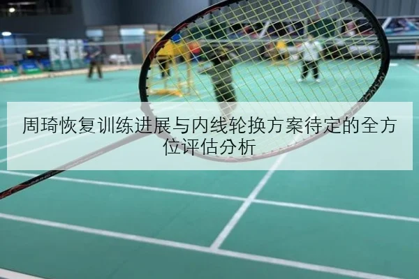 樊振东恢复高强度训练引发国乒男队奥运选拔新悬念